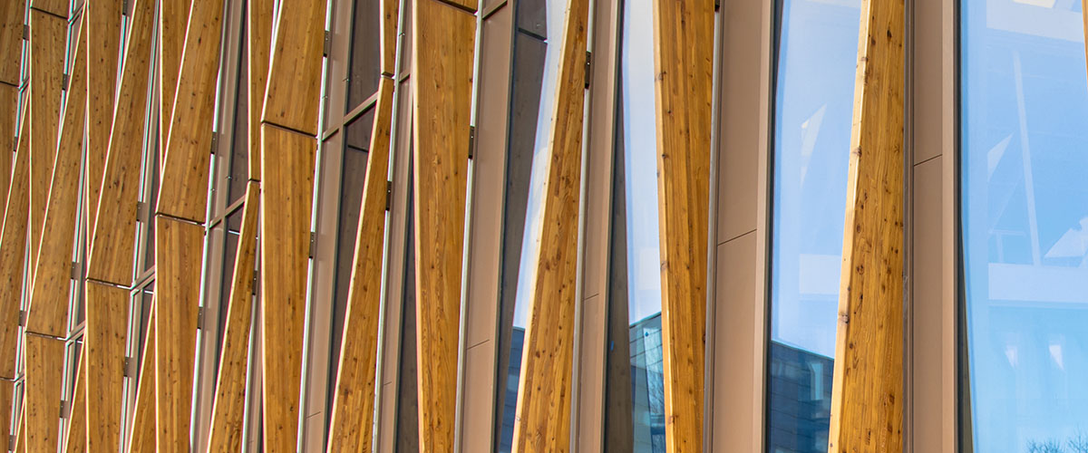 Elementos fundamentales de la arquitectura sostenible