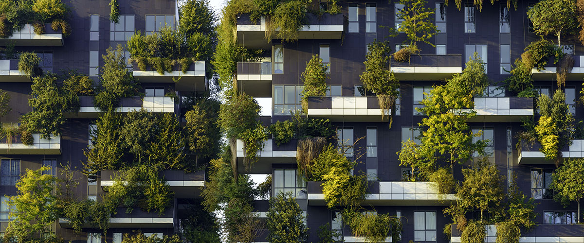 Impacto del Diseño en la Salud y Bienestar